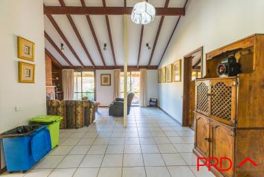 Farm Sold - NSW - Tamworth - 2340 - Large Family Home on Acres  (Image 2)