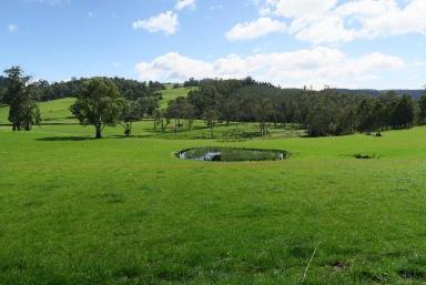 Farm Sold - TAS - Paradise - 7306 - UNDER CONTRACT - Quality acreage for lifestyle and mixed farming  (Image 2)