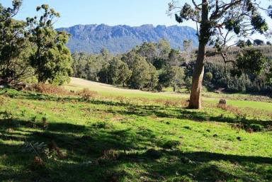 Farm Sold - TAS - Paradise - 7306 - UNDER CONTRACT - Quality acreage for lifestyle and mixed farming  (Image 2)