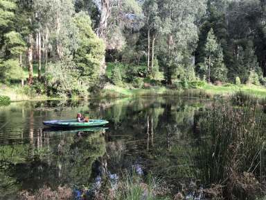 Farm Sold - VIC - Ferguson - 3237 - Captivating Otway’s Property  (Image 2)