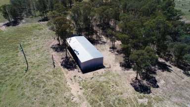 Farm Sold - QLD - Wieambilla - 4413 - "Kangarra" The Perfect Starter Block or Additional Area!!  (Image 2)