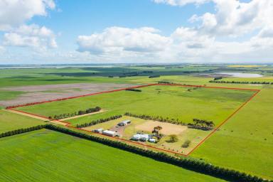 Farm Sold - VIC - Winchelsea - 3241 - ATTRACTIVE WINCHELSEA DISTRICT PROPERTY  (Image 2)