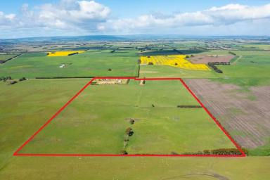 Farm Sold - VIC - Winchelsea - 3241 - ATTRACTIVE WINCHELSEA DISTRICT PROPERTY  (Image 2)