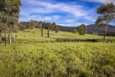 Farm Sold - VIC - Biggara - 3707 - Rare Opportunity  (Image 2)