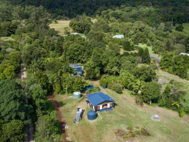 Farm Sold - NSW - Nimbin - 2480 - Nimbin Lifestyle Opportunity with Dual Living  (Image 2)