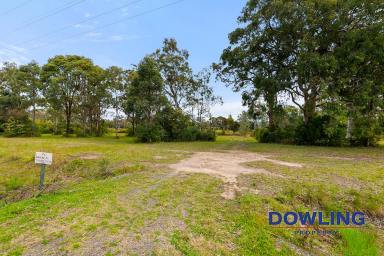 Farm Sold - NSW - Swan Bay - 2324 - BUILD YOUR DREAM HOME - CREEK FRONTAGE  (Image 2)