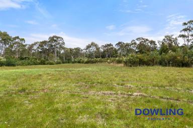 Farm Sold - NSW - Swan Bay - 2324 - BUILD YOUR DREAM HOME - CREEK FRONTAGE  (Image 2)