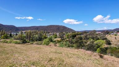 Farm Sold - NSW - Marrangaroo - 2790 - Central Lithgow Acreage with creek frontage!  (Image 2)
