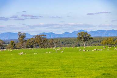 Farm Sold - VIC - Gatum - 3407 - A STRATEGIC FOCUS ON PRODUCTION  (Image 2)