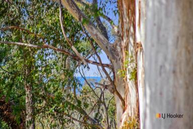 Farm Sold - NSW - Malua Bay - 2536 - MOVE OUT OF SUBURBIA  (Image 2)