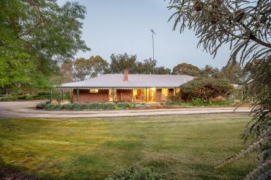 Farm Sold - SA - Naracoorte - 5271 - An idyllic lifestyle that dreams are made of...  (Image 2)