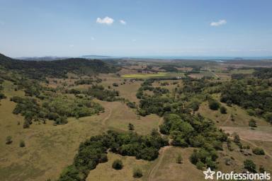 Farm Sold - QLD - Habana - 4740 - 'The Barcoo' is one of the Best Stud Cattle Grazing Properties in the District with future sub-division potential.  (Image 2)