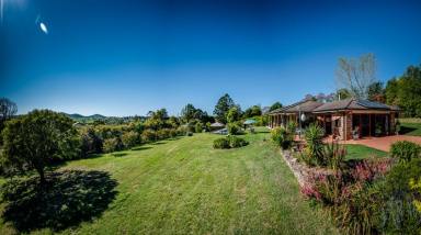 Farm Sold - NSW - Dorrigo - 2453 - Beautifully Presented Home - Desirable Aspect.  (Image 2)