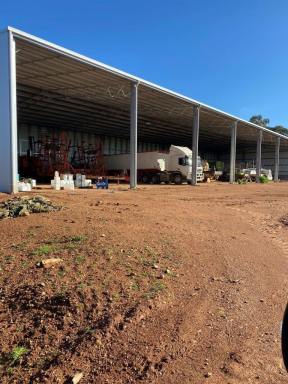 Farm Sold - NSW - Burcher - 2671 - Production Potential  (Image 2)