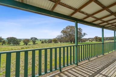 Farm Sold - NSW - Goulburn - 2580 - GREAT VIEWS  (Image 2)