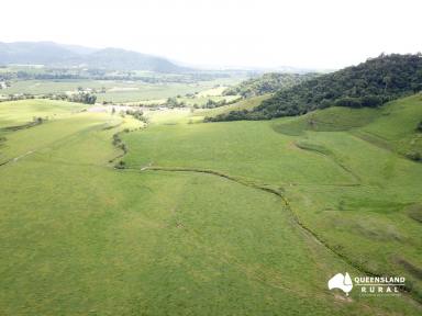 Farm Sold - QLD - Japoonvale - 4856 - High rainfall, fattening or breeder block  (Image 2)