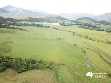 Farm Sold - QLD - Japoonvale - 4856 - High rainfall, fattening or breeder block  (Image 2)