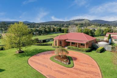 Farm Sold - TAS - Buckland - 7190 - Meticulously maintained Buckland beauty  (Image 2)