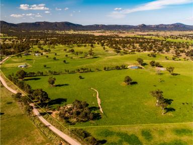 Farm Sold - NSW - Rylstone - 2849 - 190 to 250 Dunville Loop Road RYLSTONE NSW  (Image 2)