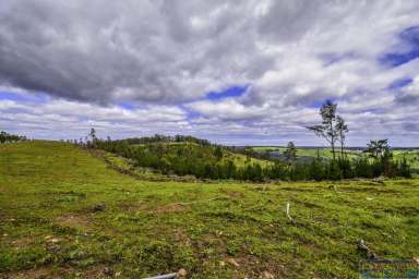 Farm Sold - WA - Wandillup - 6256 - SECLUDED 100 ACRES  (Image 2)