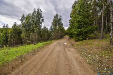 Farm Sold - WA - Wandillup - 6256 - SECLUDED 100 ACRES  (Image 2)