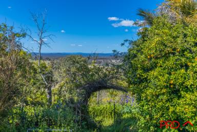 Farm Sold - NSW - Watsons Creek - 2355 - Heading for the Hills  (Image 2)