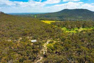 Farm Sold - VIC - Cavendish - 3314 - Pulcherrima  (Image 2)