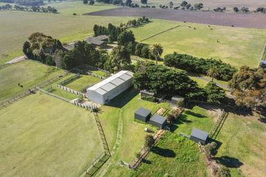 Farm Sold - VIC - Curlewis - 3222 - 100* Acre Port Phillip Bay Country Estate with Private Beach  (Image 2)