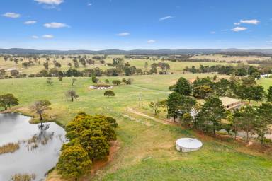 Farm Sold - NSW - Goulburn - 2580 - "Tullamore"  (Image 2)