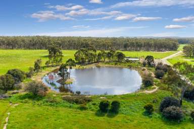 Farm Sold - VIC - Longlea - 3551 - 227 ACRES, ONLY 10 MIN FROM BENDIGO  (Image 2)