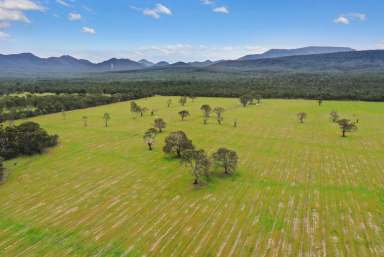 Farm Sold - VIC - Mafeking - 3379 - BEE HIVE  DUNKELD/MOYSTON S/W VIC  (Image 2)