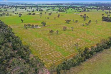 Farm Sold - VIC - Mafeking - 3379 - BEE HIVE  DUNKELD/MOYSTON S/W VIC  (Image 2)