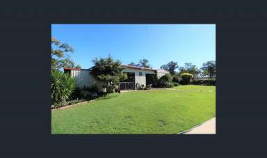 Farm Sold - QLD - Isis River - 4660 - 101 Beautiful acres of land with Dual living  (Image 2)