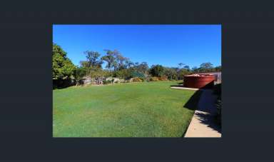 Farm Sold - QLD - Isis River - 4660 - 101 Beautiful acres of land with Dual living  (Image 2)