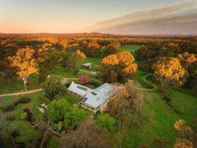 Farm Sold - VIC - Mangalore - 3663 - "Garryowen" - Gateway to Goulburn Grazing with Stately Cottage Charm  (Image 2)