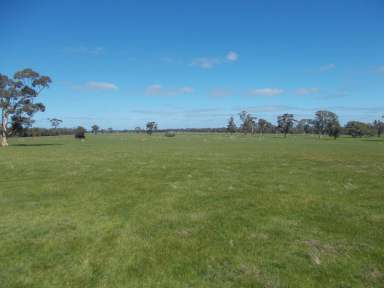 Farm Sold - VIC - Patyah - 3318 - "Dixons" - Strategically Positioned Livestock & Cropping Enterprise  (Image 2)