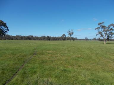 Farm Sold - VIC - Patyah - 3318 - "Dixons" - Strategically Positioned Livestock & Cropping Enterprise  (Image 2)