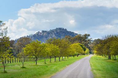 Farm Sold - VIC - Creightons Creek - 3666 - "Drumgramph"  - Lifestyle home with 64 acres of Horse Heaven  (Image 2)