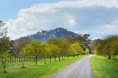 Farm Sold - VIC - Creightons Creek - 3666 - "Drumgramph"  - Lifestyle home with 64 acres of Horse Heaven  (Image 2)