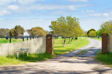 Farm Sold - VIC - Creightons Creek - 3666 - "Drumgramph"  - Lifestyle home with 64 acres of Horse Heaven  (Image 2)