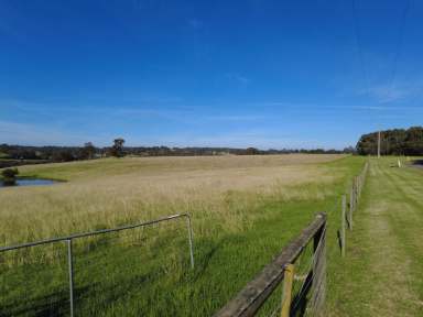 Farm Sold - VIC - Nicholson - 3882 - "Riverside Estate" - A Beautiful Blank Canvas Overlooking the Nicholson River  (Image 2)