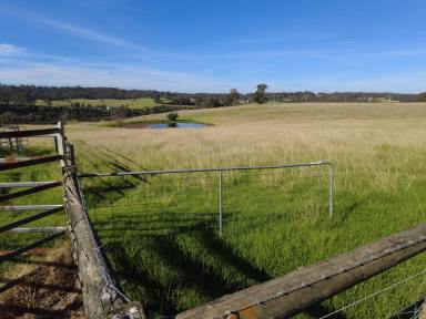 Farm Sold - VIC - Nicholson - 3882 - "Riverside Estate" - A Beautiful Blank Canvas Overlooking the Nicholson River  (Image 2)