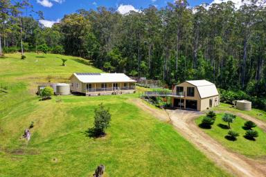 Farm Sold - NSW - Wootton - 2423 - Comfy, Cosy, Country Living  (Image 2)
