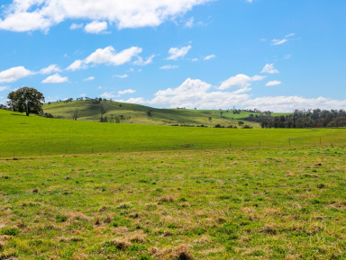 Farm Sold - NSW - High Range - 2575 - A Landmark Property  (Image 2)