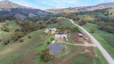 Farm Sold - NSW - Willow Tree - 2339 - Blue Ribbon Offering  (Image 2)