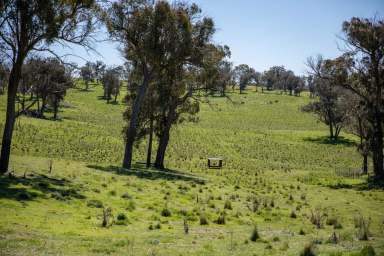 Farm Sold - NSW - Walcha - 2354 - "Red Hill" Once In A Lifetime  (Image 2)