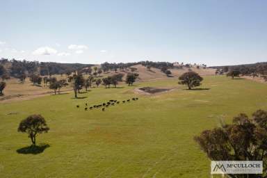 Farm Sold - NSW - Armidale - 2350 - "Stockton" New England Beef or Sheep Production Powerhouse  (Image 2)