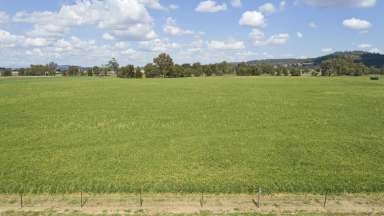 Farm Sold - NSW - Quipolly - 2343 - Blank Lifestyle Canvas  (Image 2)