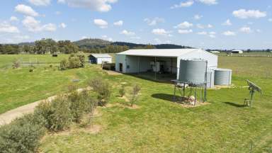 Farm Sold - NSW - Quipolly - 2343 - Blank Lifestyle Canvas  (Image 2)