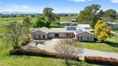 Farm Sold - NSW - Tamworth - 2340 - 'Kingswood Lodge' - Blue Ribbon Equine Facility  (Image 2)